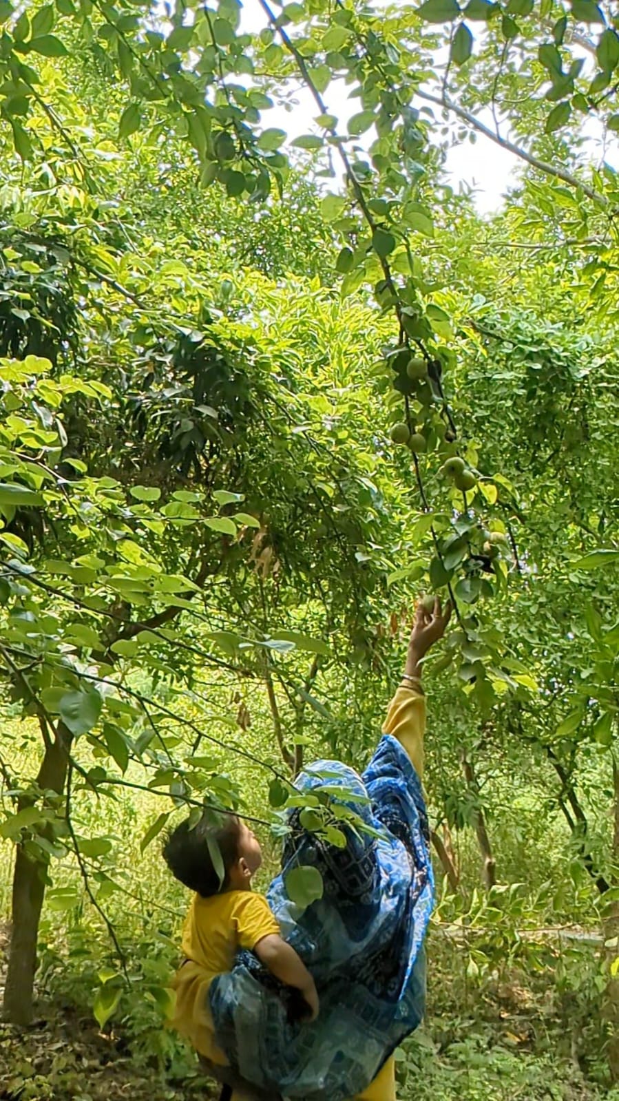 Why Farmstays Are the Future of Sustainable Travel